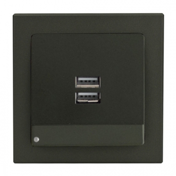 Face Dual USB charging socket with LED-Antracite