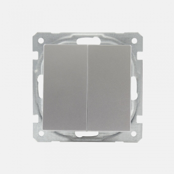 Face Double Switch-without frame-Silver