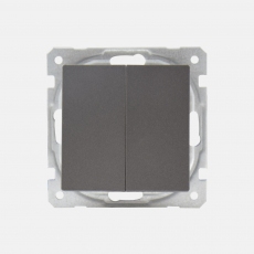 System 55 Face double 2-way switch(without frame)-Antracite