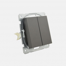 System 55 Face double 2-way switch(without frame)-Antracite