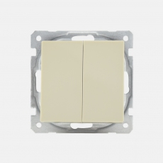 Face Double Switch-without frame-Ivory