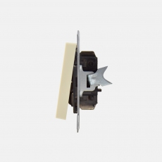 Face Double Switch-without frame-Ivory