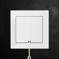 Face Pull switch-white