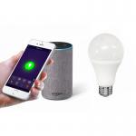 Wintop WiFi 10瓦 LED灯泡E26
