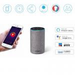 Wintop WiFi 10瓦 LED灯泡E26