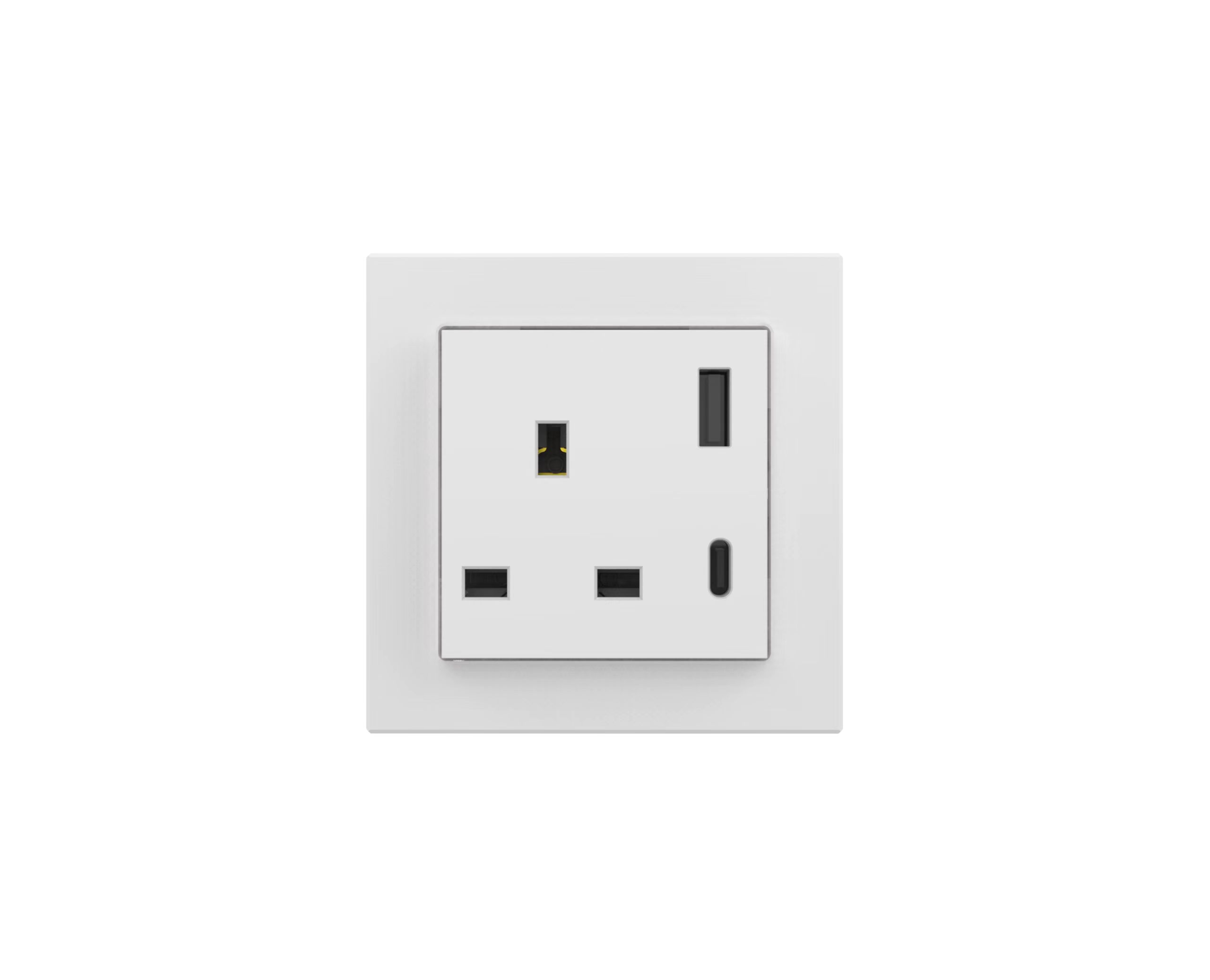 1297F-6-S100     FACE  BS socket with  TYPE A+C