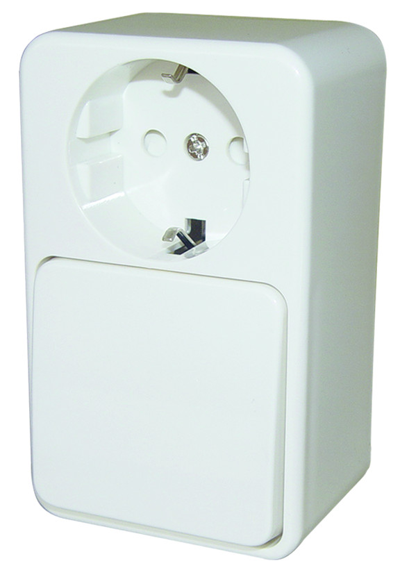 Unique Combination Schuko Power Socketwith Single Two-way Switch